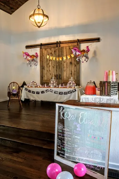 Birthday Party Setup